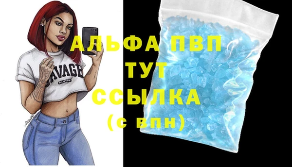 a pvp Алзамай